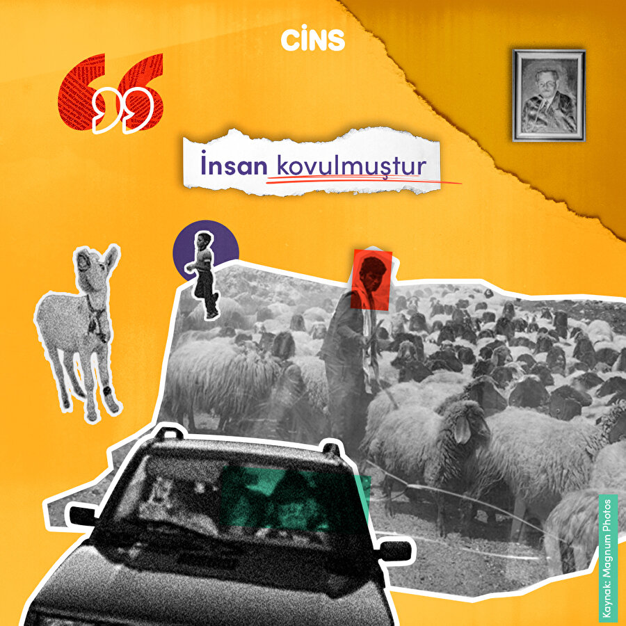 Neden kovulduk?