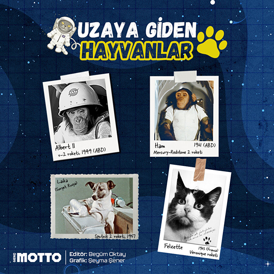 Uzay görevlerine katkıda bulunan hayvanlar