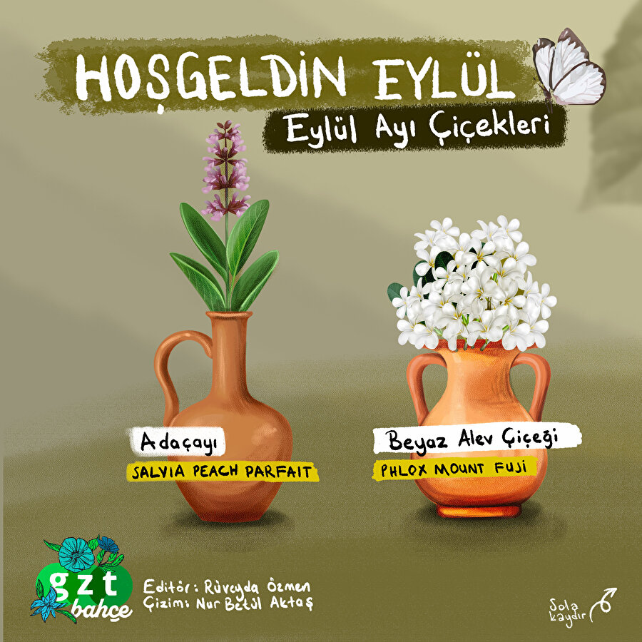 Eylül ayı çiçekleri 