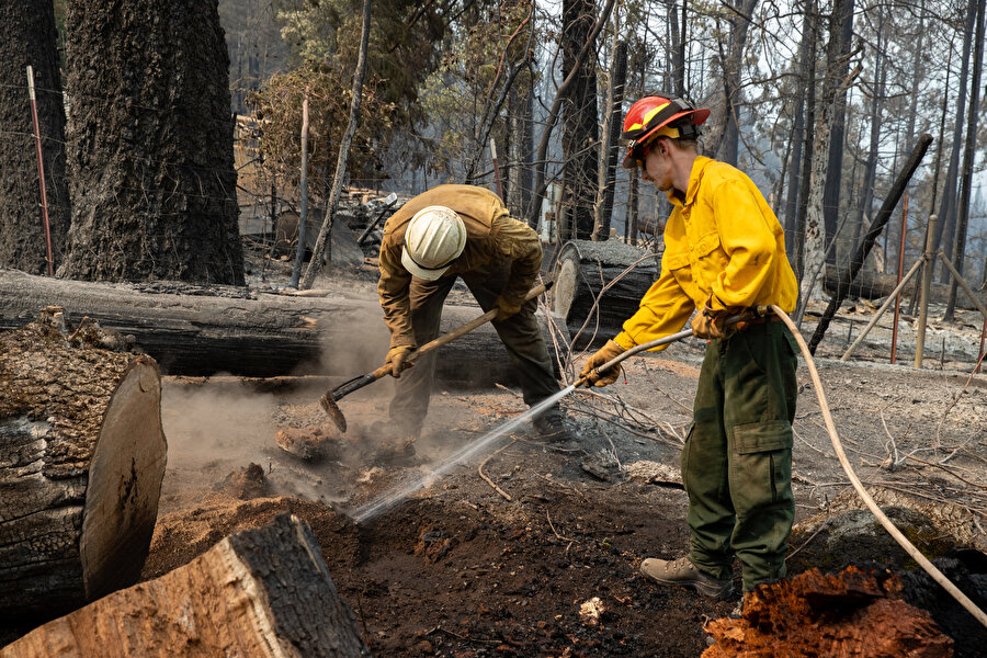 California'da orman yangını: 11 bini aşkın kişi tahliye edildi