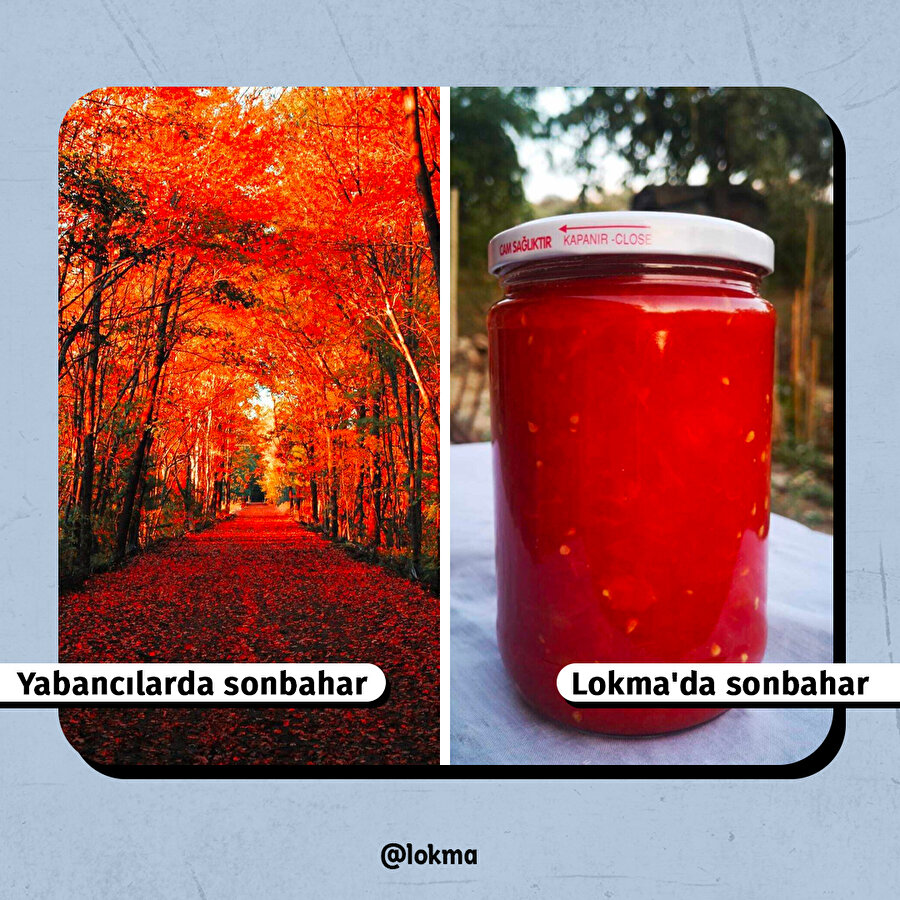 Lokma'da sonbahar🤪