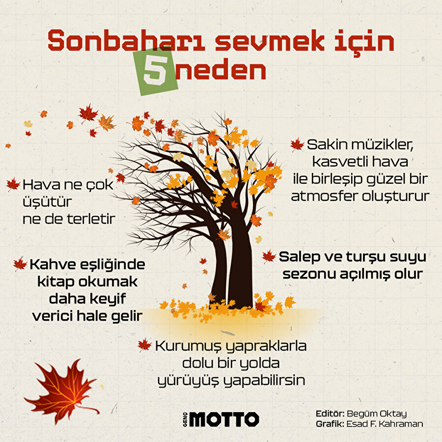 Sonbaharı sevmek için 5 neden