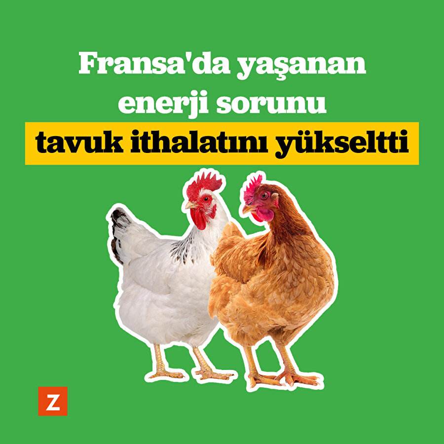 Fransa'da yaşanan enerji krizi tavuk ithalatını artırdı