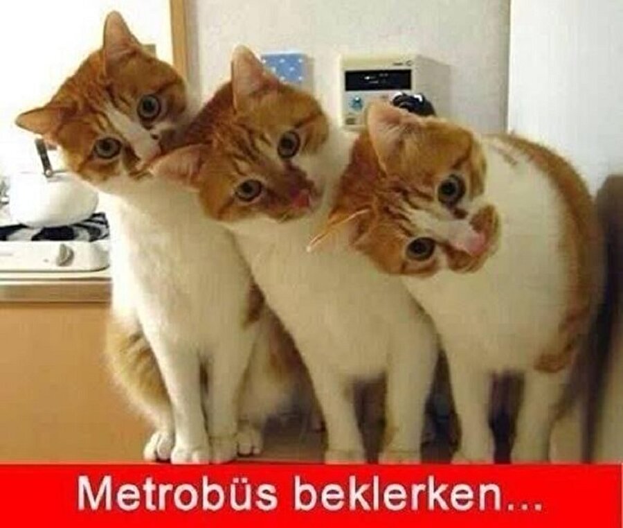 Beklemek bizim işimiz😂