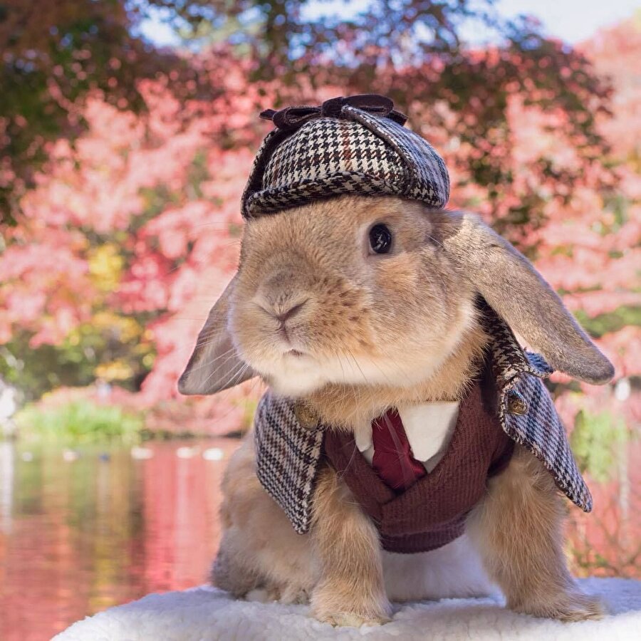Sherlock holmes iş  başında 🧐