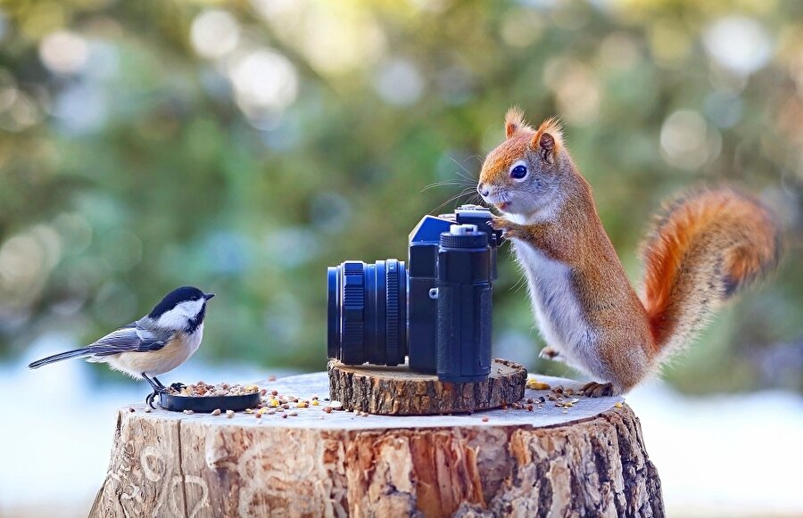 Gülümse çekiyorum