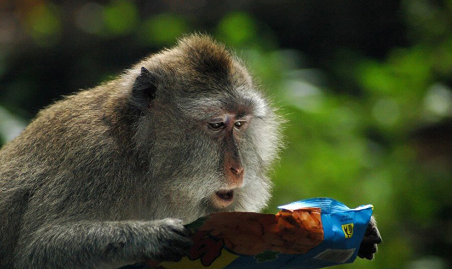 Nee 500 kalori mi❓