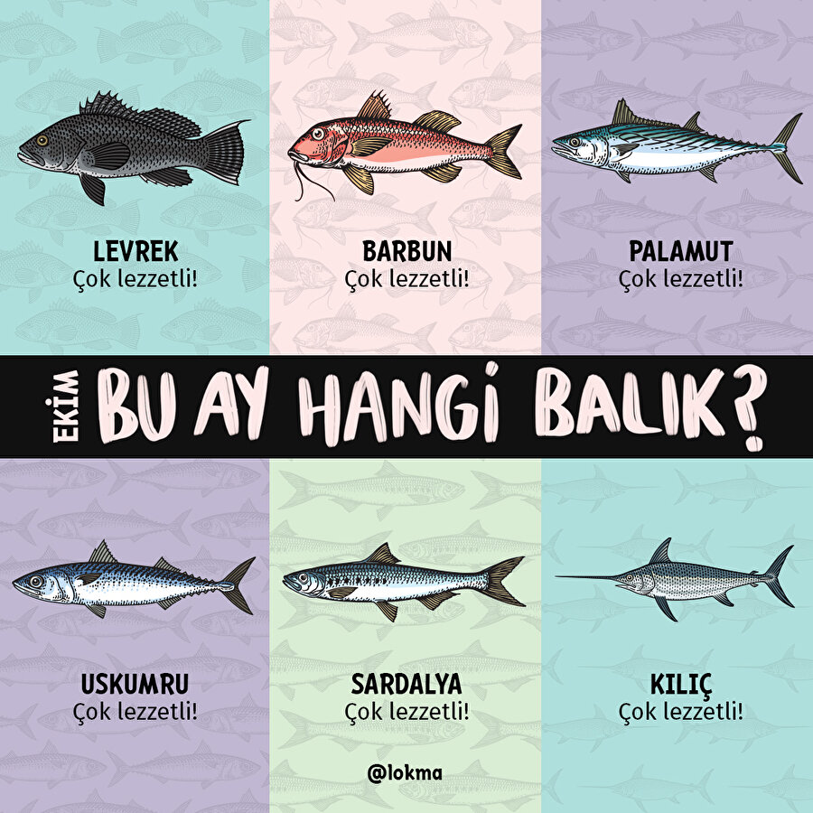 Ekim ayında hangi balık yenir? 