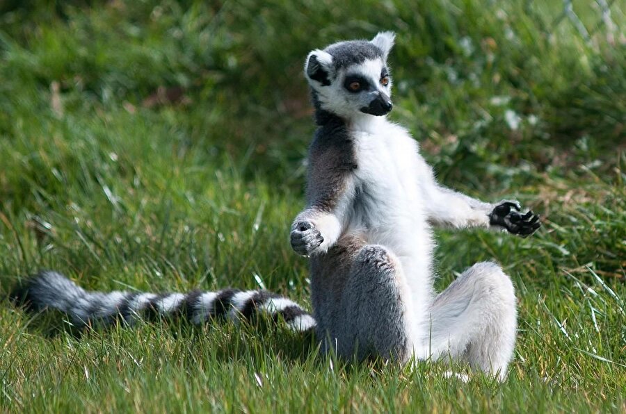 Yoga dersi verilir😉