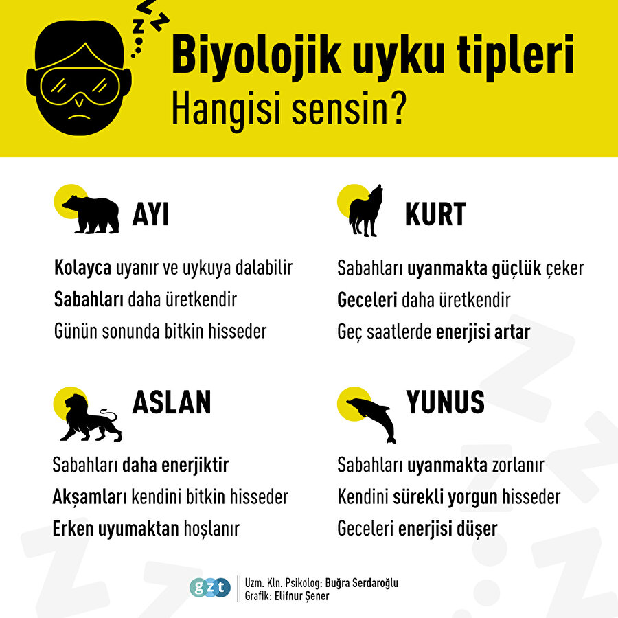 Biyolojik Uyku Tipleri