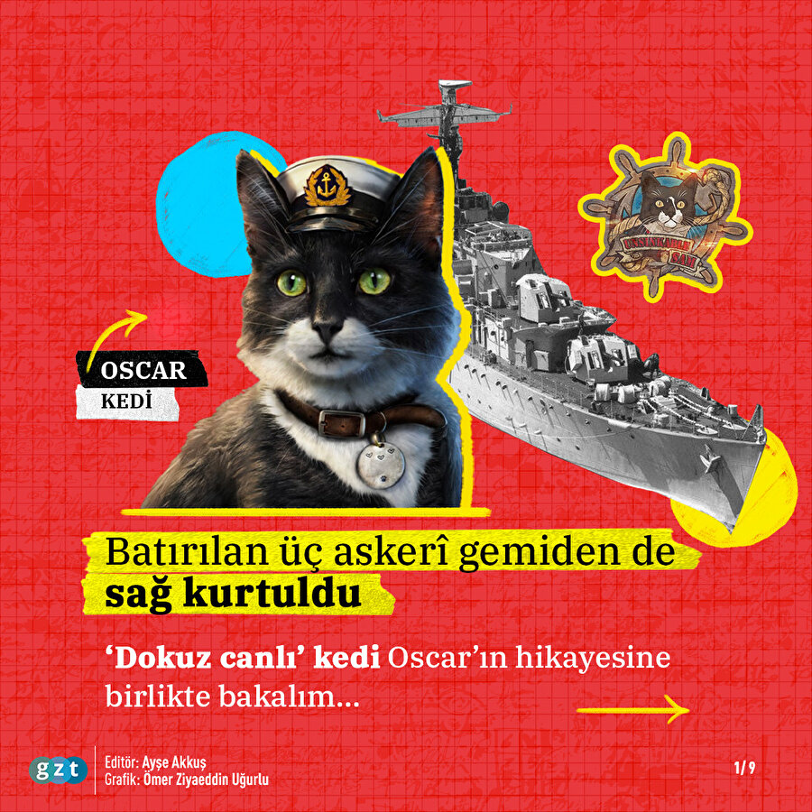 Batan üç gemiden de sağ kurtulan 'Batmayan Sam'in hikayesi 🐱👓