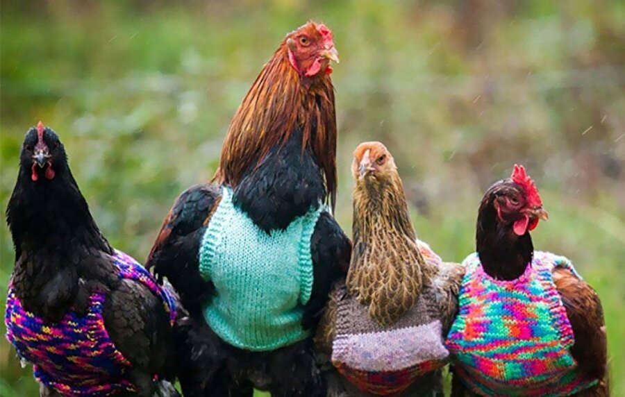 Mahallenin yorgun delikanlıları😀