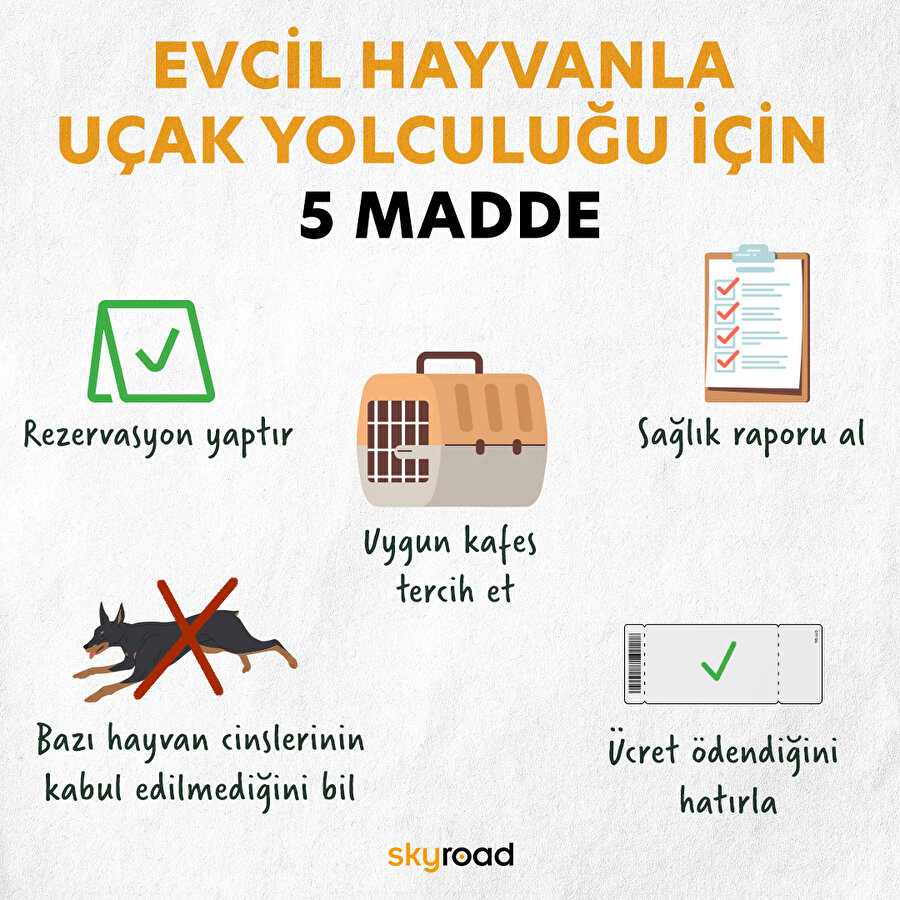 Evcil hayvanla uçak yolculuğu için 5 madde 🐈