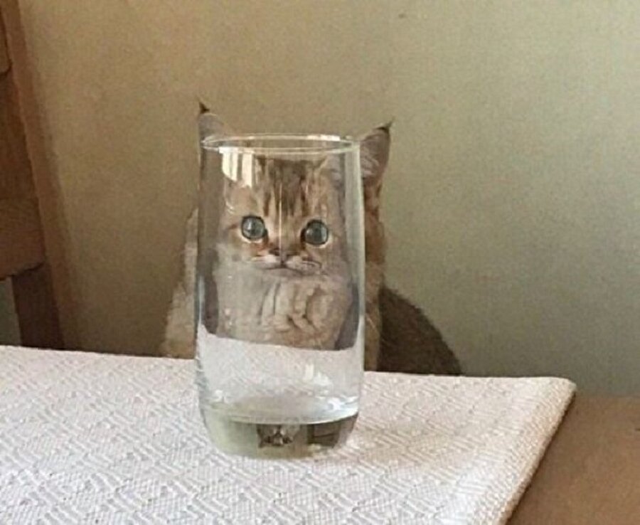 Bardağın klişe tarafından bakıyorum 😊😺