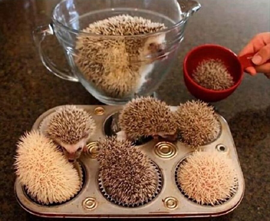 Hindistan cevizli, kakaolu ve bol dikenli cupcake😀