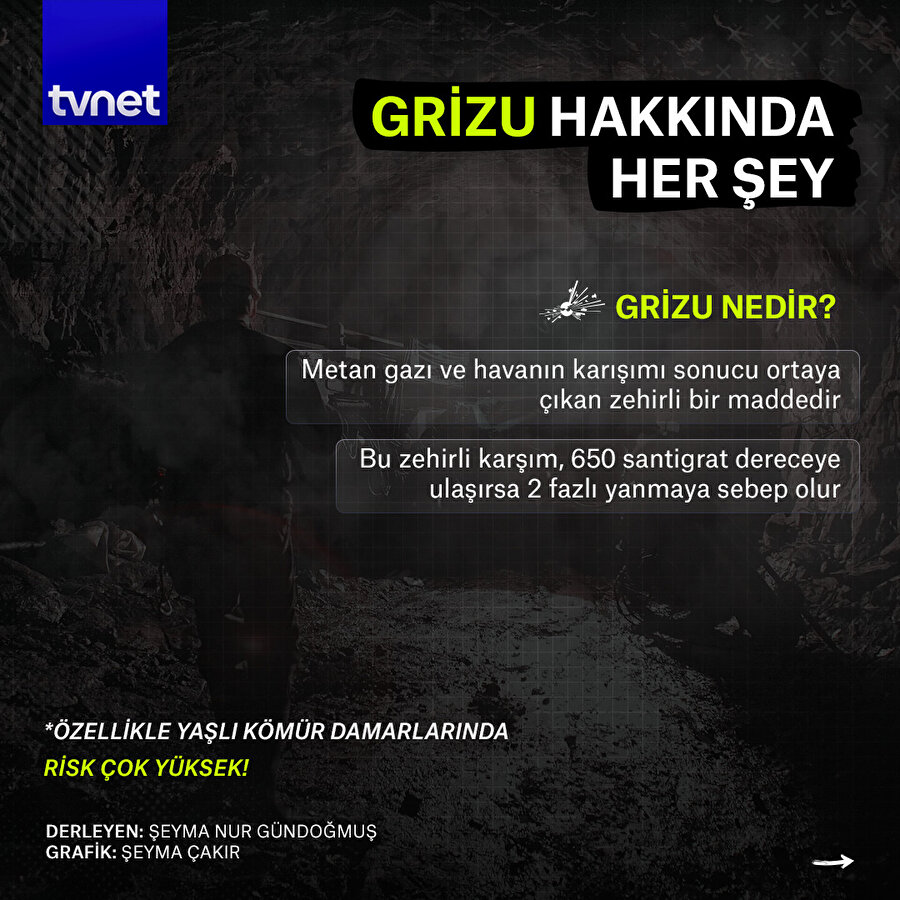 GRİZU HAKKINDA HER ŞEY 