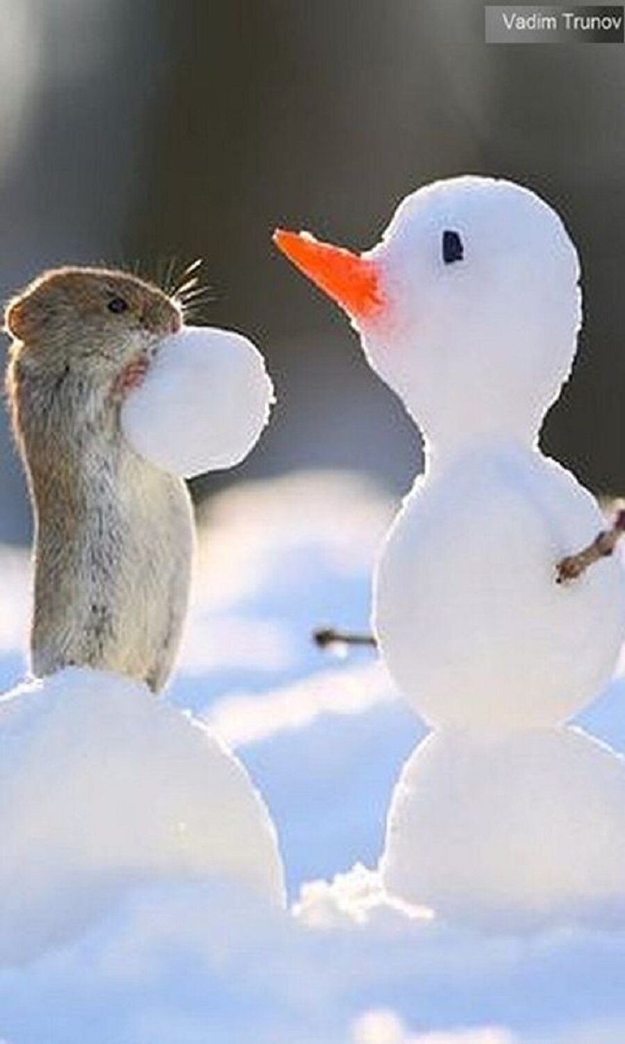 Son parçayı da koyduk mu? Tamam 