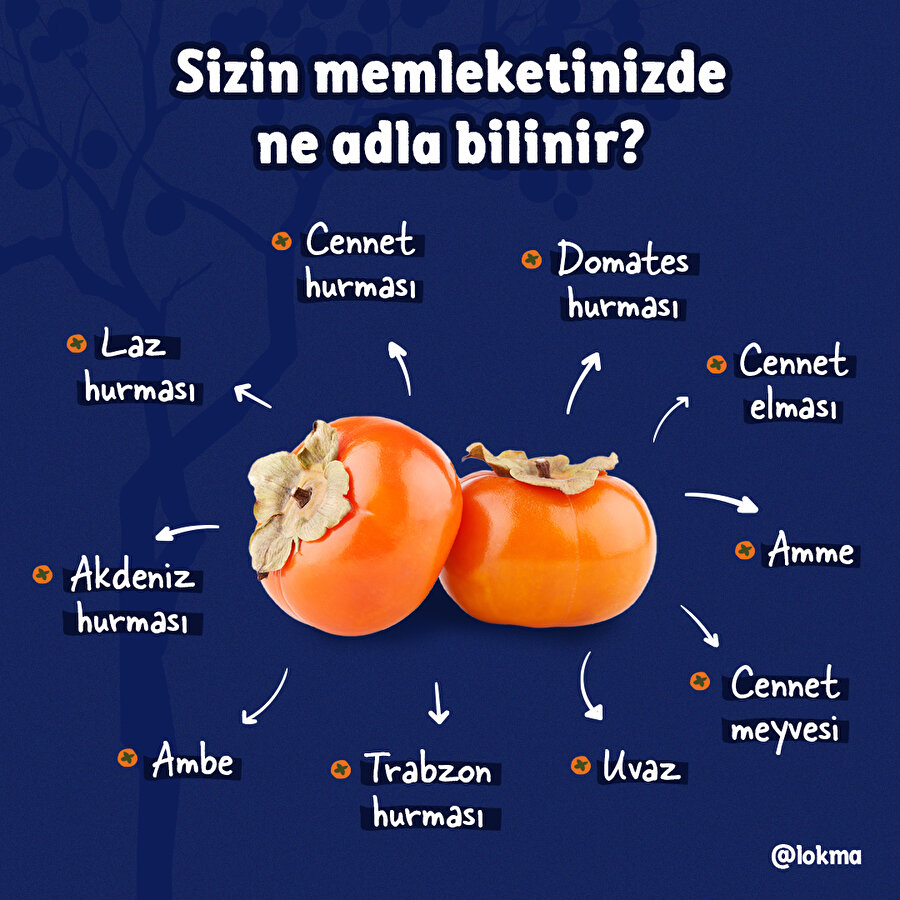 Sizin memleketinizde ne adla bilinir?