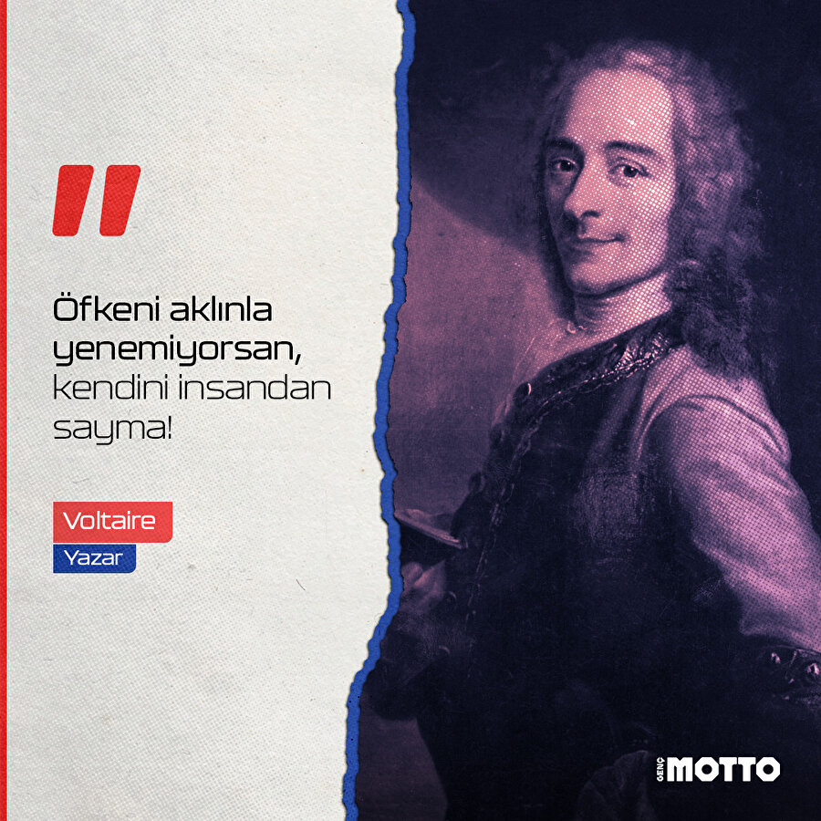 Voltaire'den hayata dair 