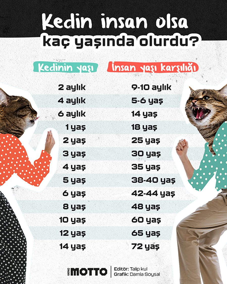 Kedin insan olsa kaç yaşında olurdu?