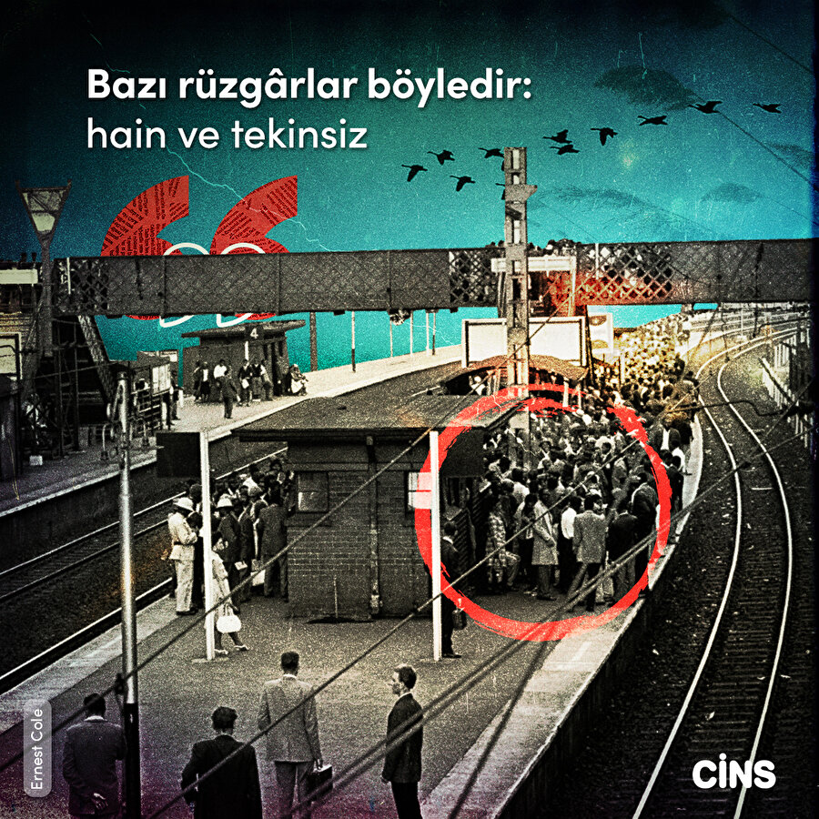 Tekinsizliğin sınırlarında