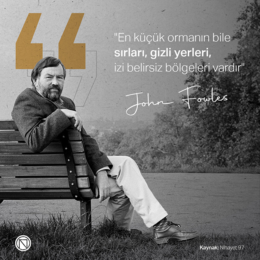 Küçük ormanların sırları