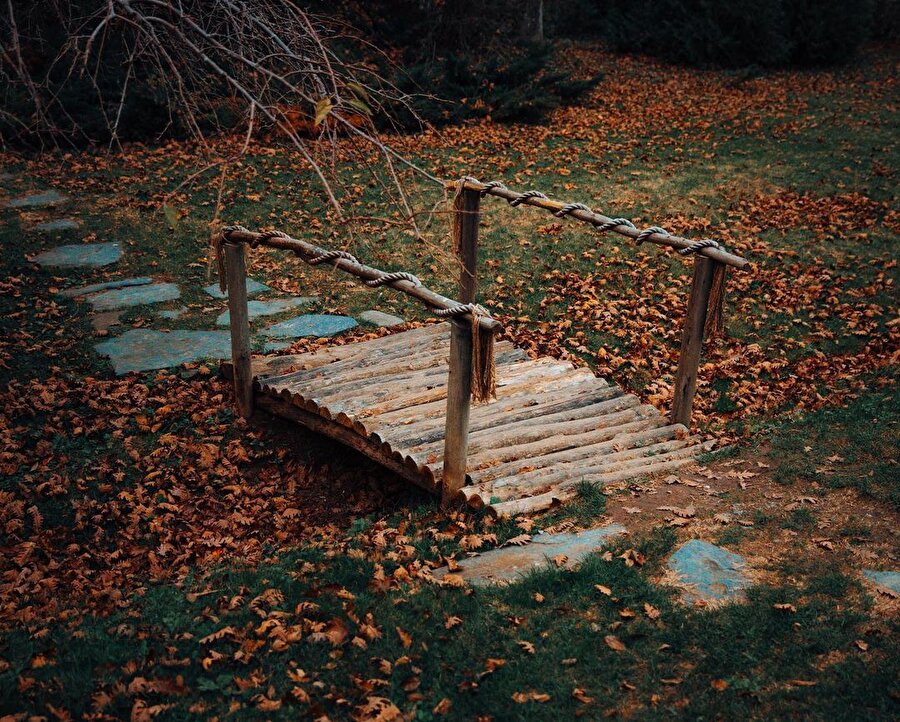 Türünün en büyük örneklerinden: Atatürk Arboretumu 🦢