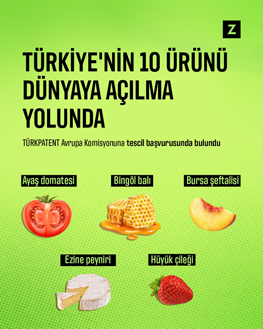 TÜRKPATENT başvurdu: Türkiye'nin 10 lezzeti daha AB'de tescil yolunda