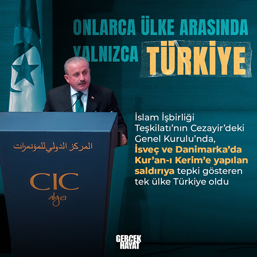 Kur'an'a yapılan hakarete yalnızca Türkiye tepki gösterdi