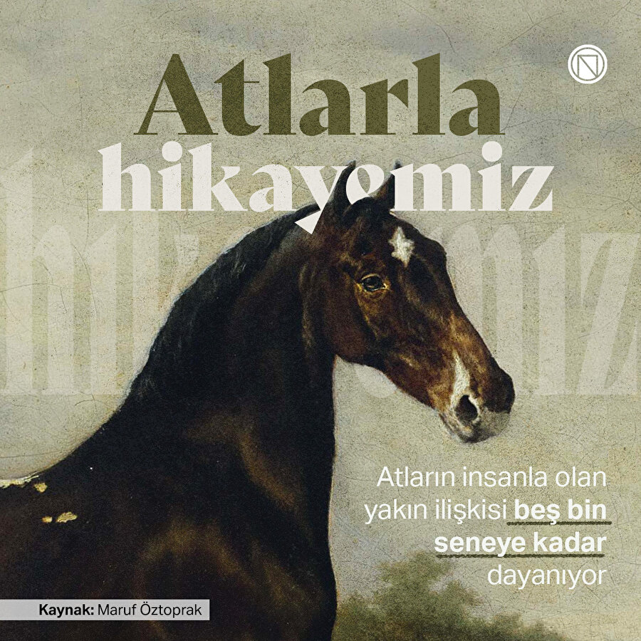 Atlarla hikayemiz