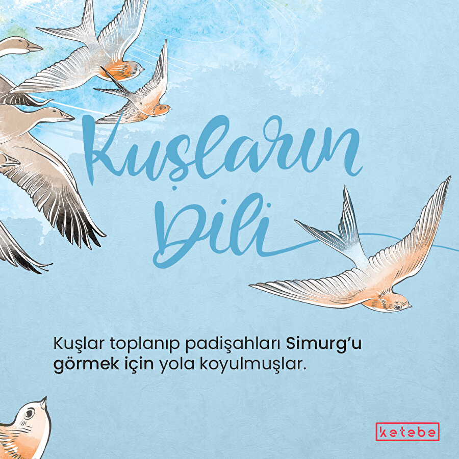 Kuşların dili