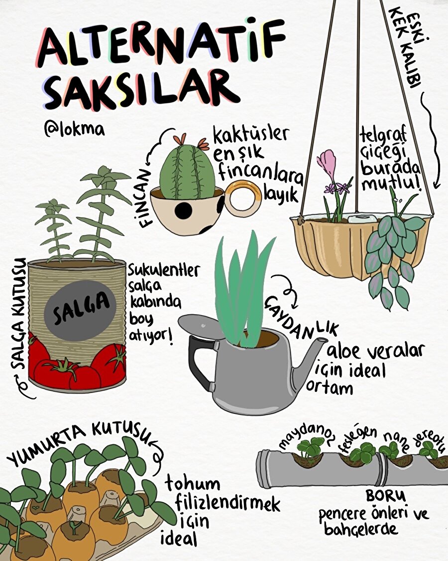 Alternatif saksılar