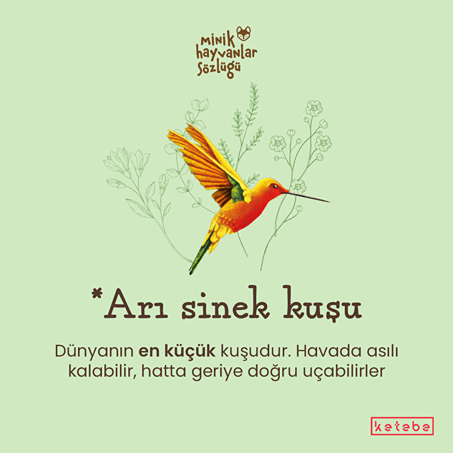 Minik hayvanların küçük kitabı