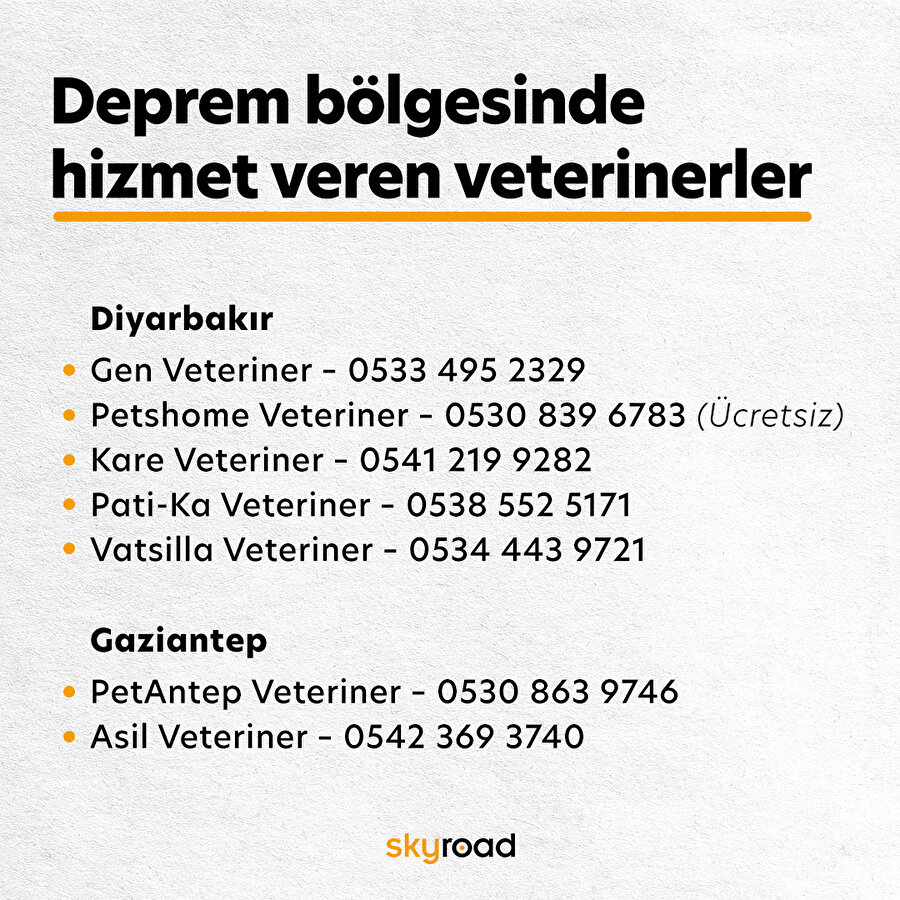 Deprem bölgesinde hizmet veren veterinerler