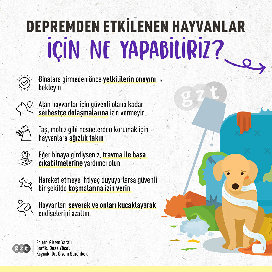 Depremden etkilenen hayvanlar için ne yapabiliriz?