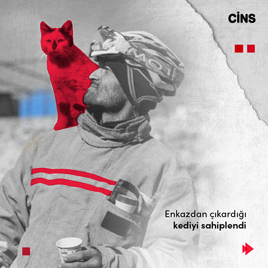 Enkazdan çıkardığı kediyi sahiplendi 