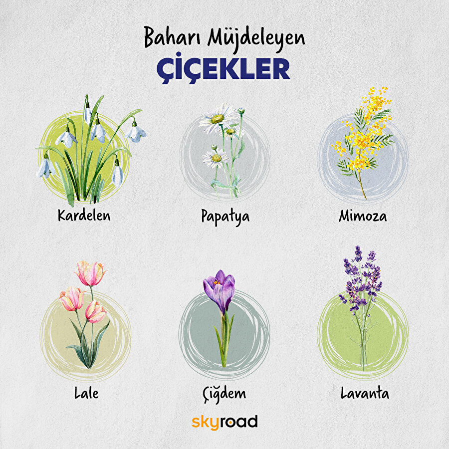 Baharı müjdeleyen çiçekler 💐