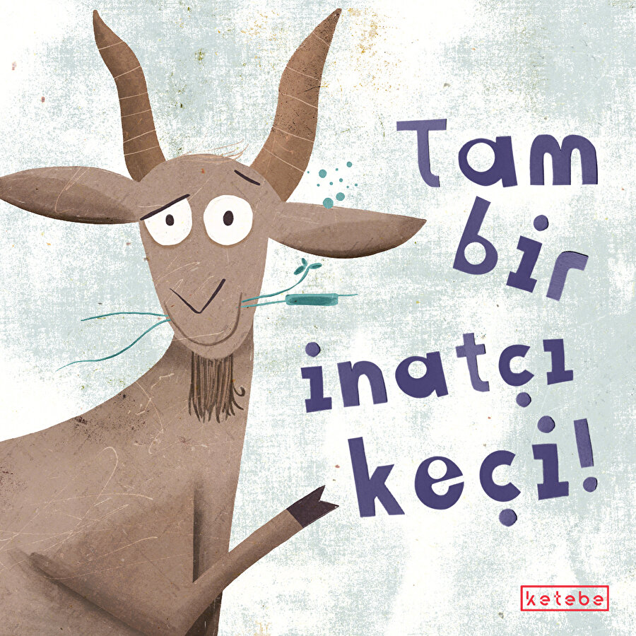 Tam bir inatçı keçi