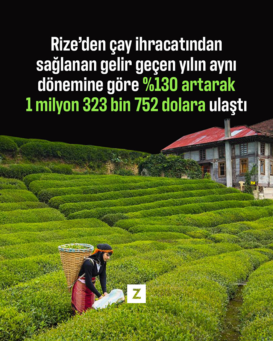 Rize 2 ayda çay ihracatından 1,3 milyon dolar kazandı