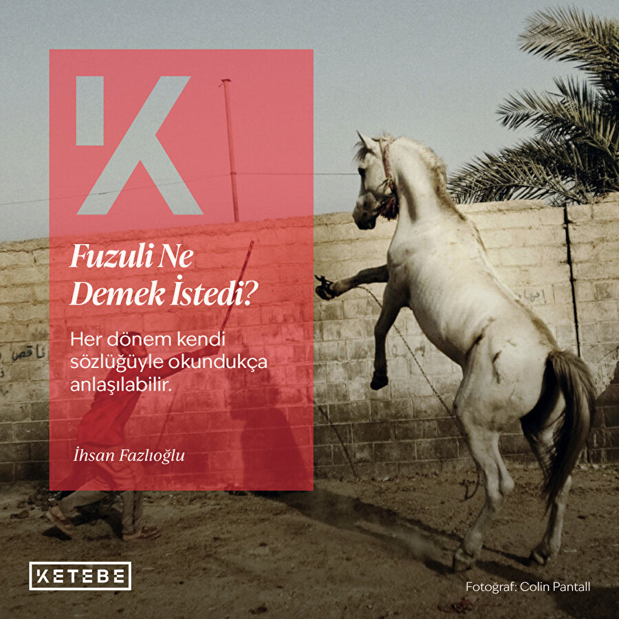 Fuzuli ne demek istedi?