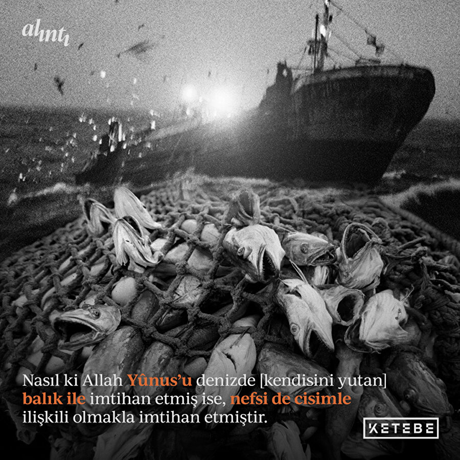 Fusûsu'l - Hikem Şerhi