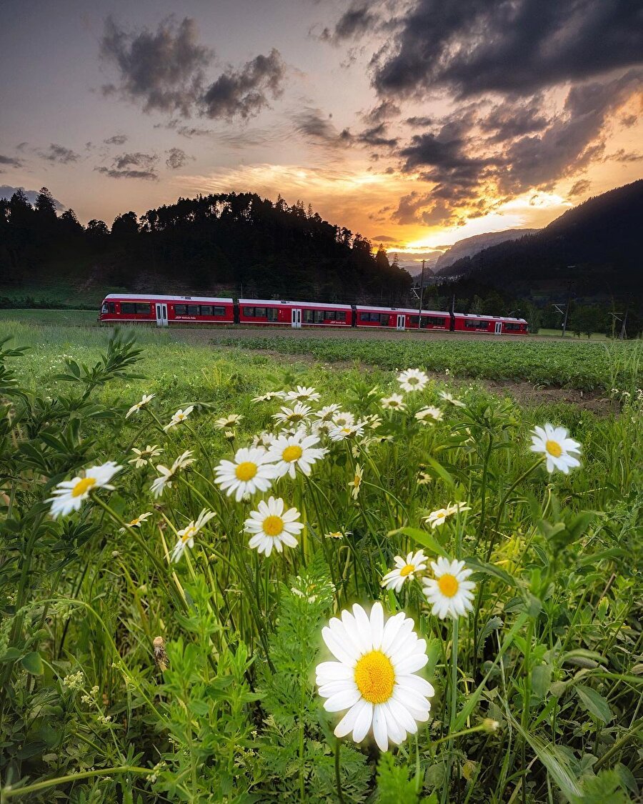 Alpleri geçmenin en güzel yollarından biri: Bernina Ekspresi 🚂