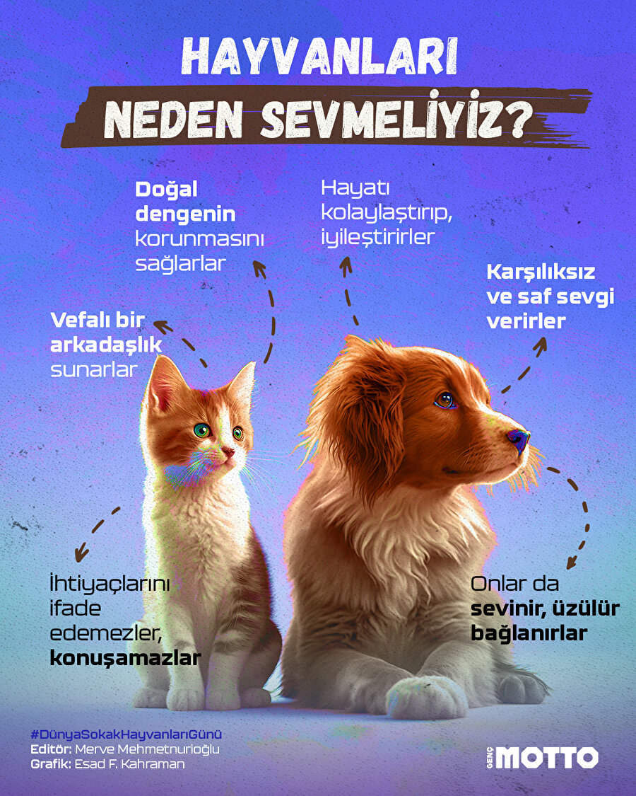 Hayvanları neden sevmeliyiz?