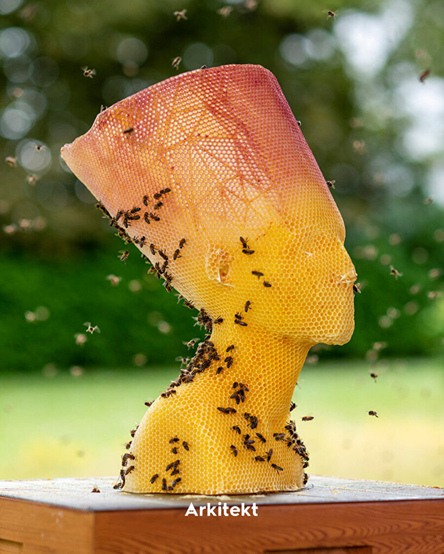 Arıların yardımıyla heykel yapılabilir mi?