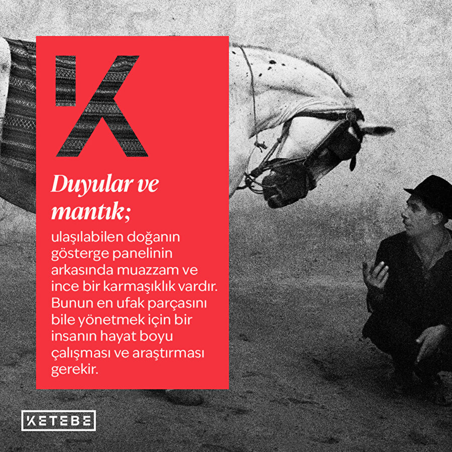 Görünüşleri kurtarmak