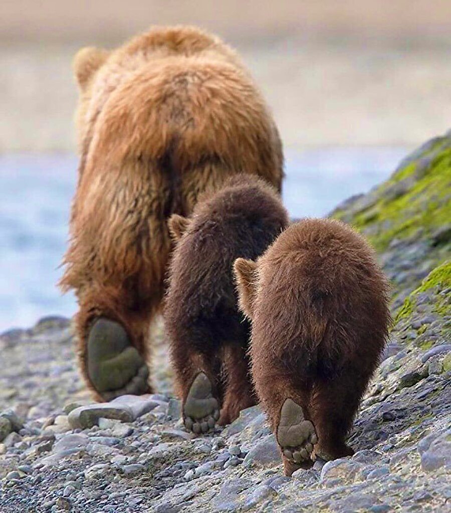 Senkronize koca ayaklar😊