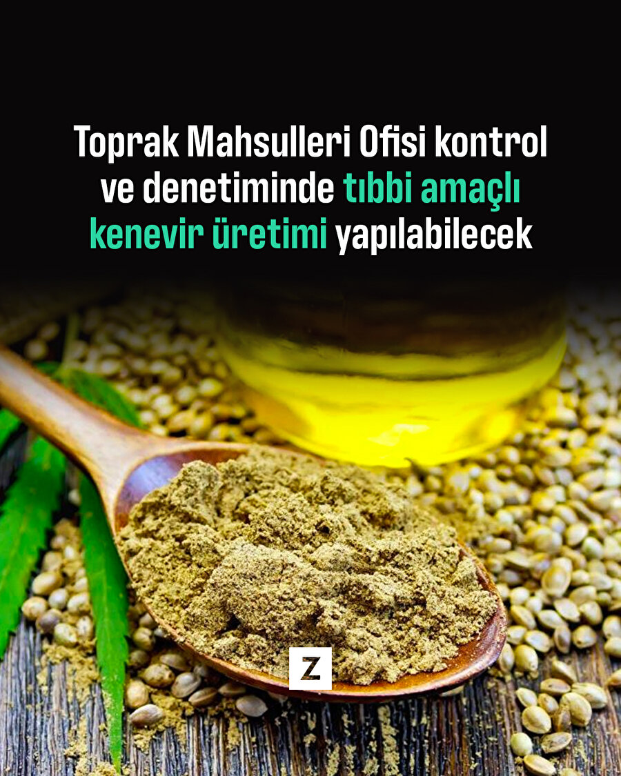 Tıbbi amaçlı kenevir üretimi yapılabilecek