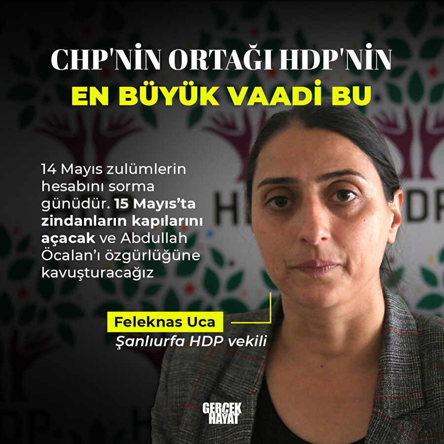 HDP'nin seçim vaadi: Öcalan