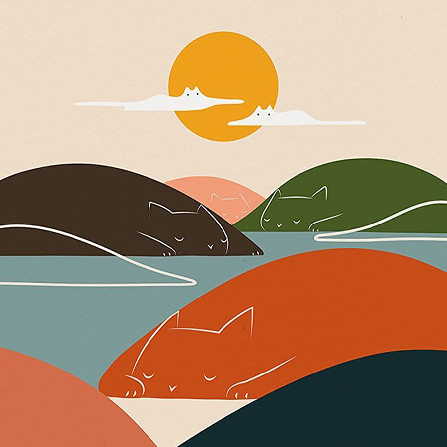 Renkli manzaralara saklı kediler 😻