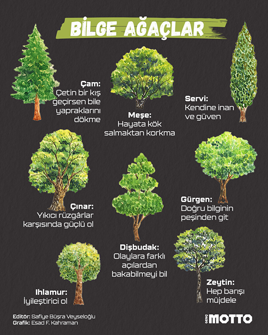 Bilge ağaçlar